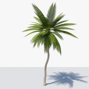 3D Lowpoly Date Palm v4