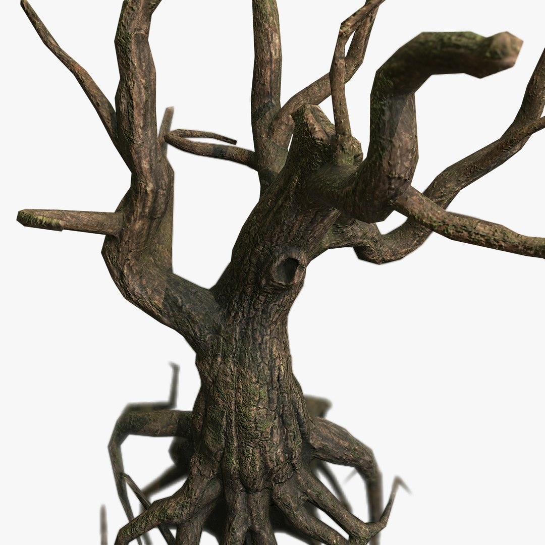 3D Dead Tree Roots TurboSquid 1246725