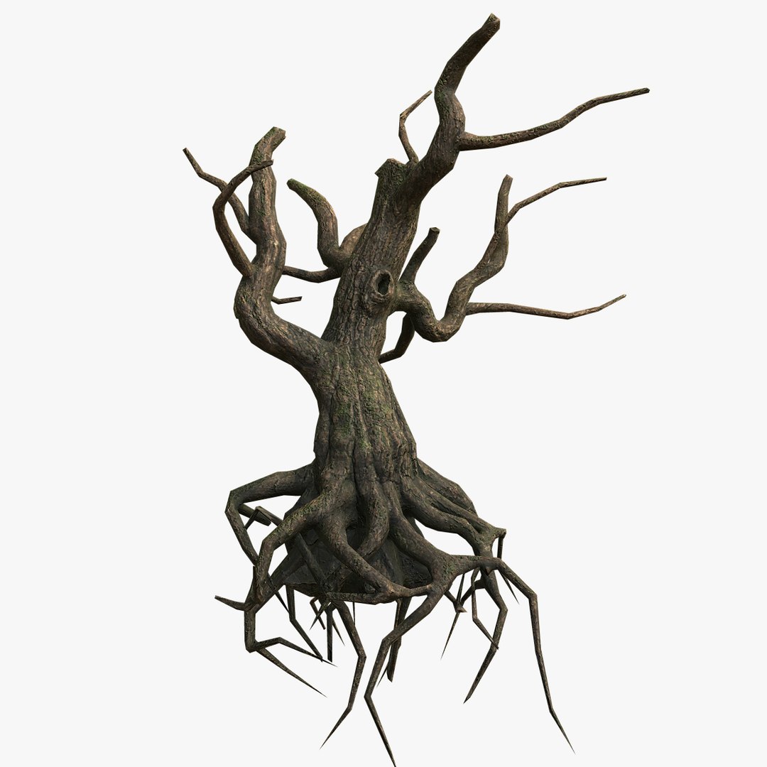 3D dead tree roots https://p.turbosquid.com/ts-thumb/fD/Dsf8VU/HWcFUwrH/ded_tree_02/jpg/1516820022/1920x1080/fit_q87/89c93a9b6c30e79dcdc6ca28fab8b25e3c985c00/ded_tree_02.jpg