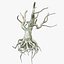 Dead Tree Roots PBR