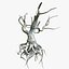 Dead Tree Roots PBR