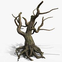Dead Tree Roots PBR