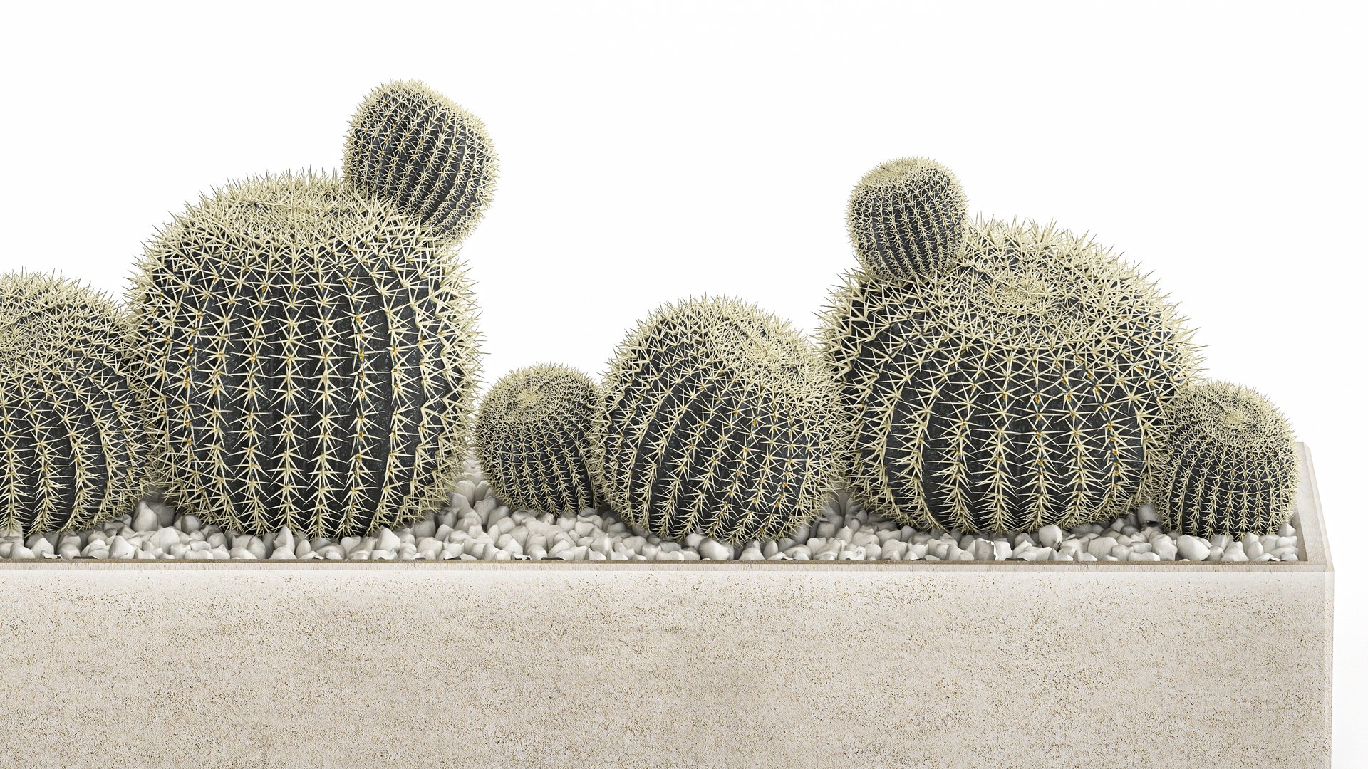 3D echinocactus in a concrete flowerpot for the interior 1104 https://p.turbosquid.com/ts-thumb/fD/KbBcwN/bn/1cactusset1901202205/jpg/1642680779/1920x1080/fit_q87/a7ee6a56d3a8727747c19c8e271144d70bec7f41/1cactusset1901202205.jpg