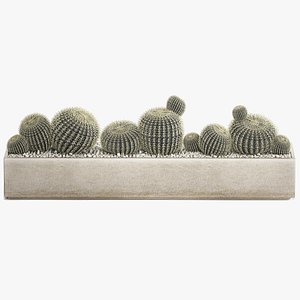 3D echinocactus in a concrete flowerpot for the interior 1104