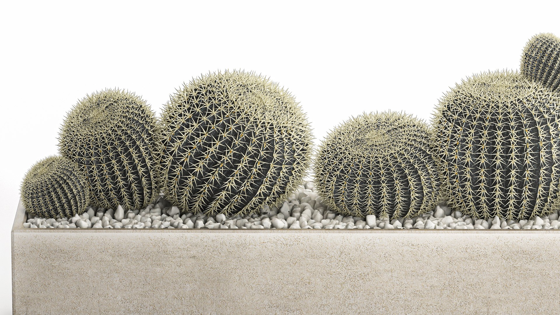 3D echinocactus in a concrete flowerpot for the interior 1104 https://p.turbosquid.com/ts-thumb/fD/KbBcwN/og/1cactusset1901202204/jpg/1642680778/1920x1080/fit_q87/a5722c548ee009fd657f3498e8ccbdd45c73fc1e/1cactusset1901202204.jpg