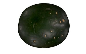 watermelon fruits model