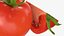 3D Tomatoes 04
