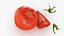 3D Tomatoes 04