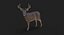Deer (2) (Rig) (Fur)