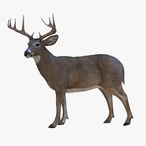 Deer (2) (Rig) (Fur)