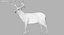Deer (2) (Rig) (Fur)