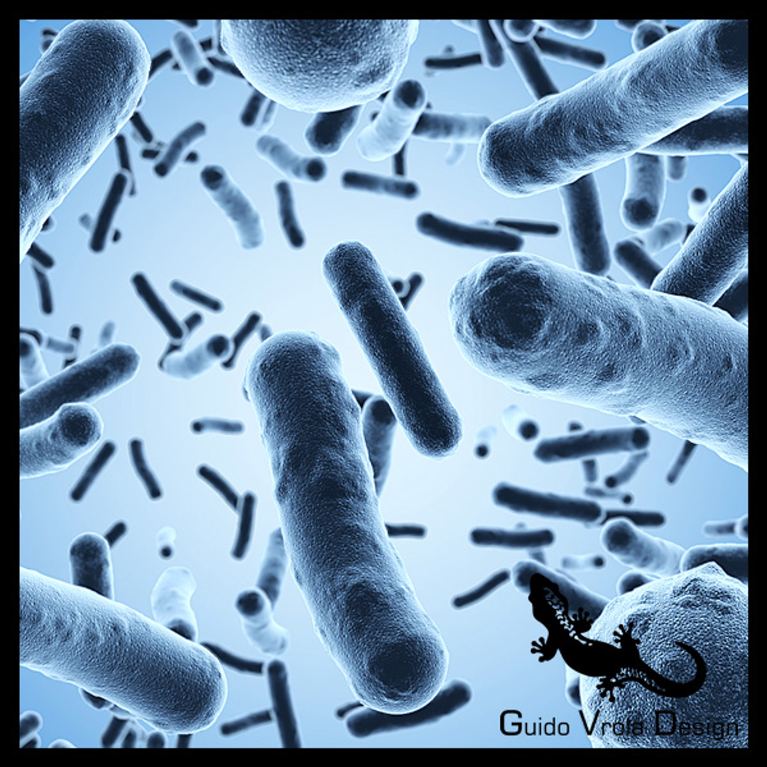 Бактерии микробы микроскоп