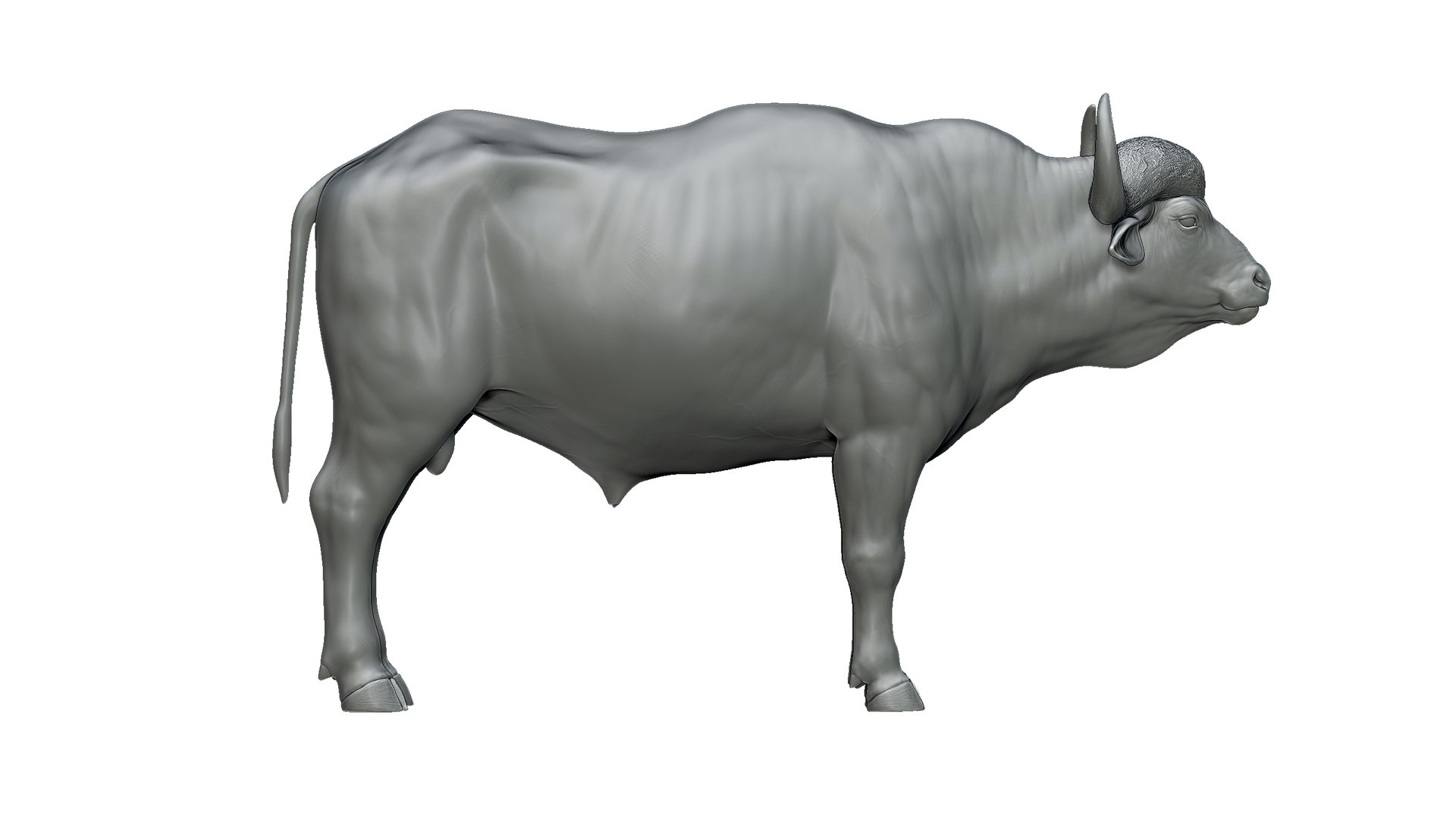 3D Model Buffalo - TurboSquid 2278227