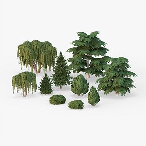 3D Tree Collection G89 model