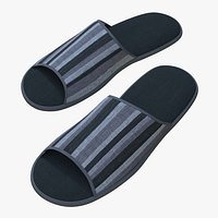 Slippes 01 d