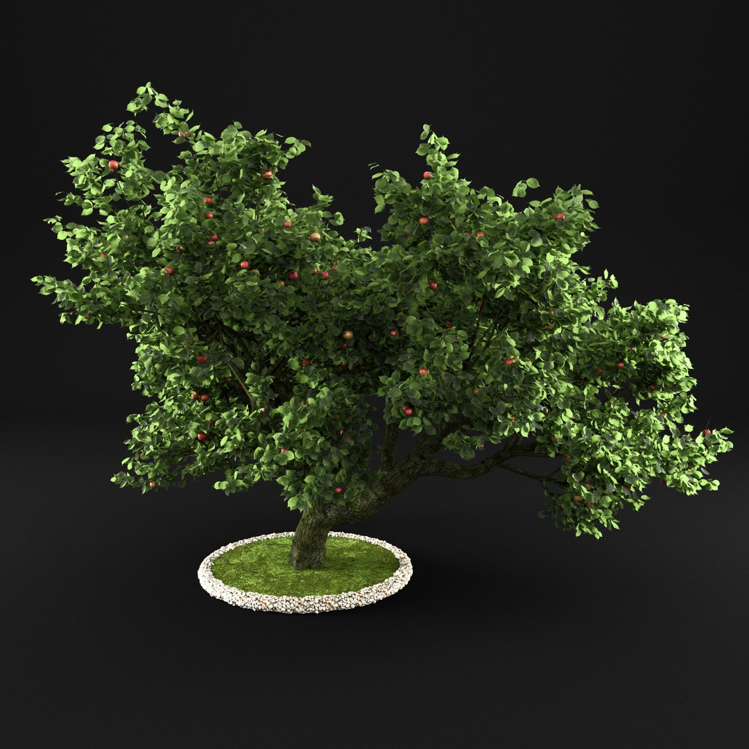 3D apple tree https://p.turbosquid.com/ts-thumb/fE/AvhsX7/5JCCnosF/10000004jpg/jpg/1495360066/1920x1080/fit_q87/bbcf1841364a7b701295665c0919db731a25ad68/10000004jpg.jpg