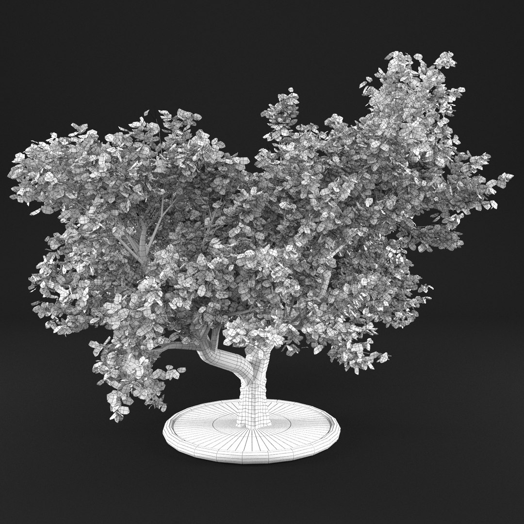 3D apple tree https://p.turbosquid.com/ts-thumb/fE/AvhsX7/68M3oiVI/20000002/png/1495360157/1920x1080/fit_q87/eee74d474b3c8643e7ac6b23cd7c2e75f672ce4b/20000002.jpg