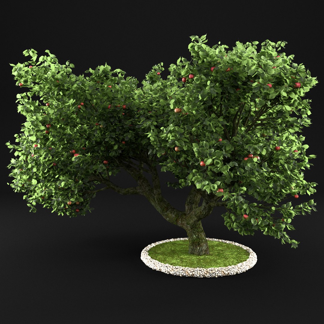 3D apple tree - TurboSquid 1159249