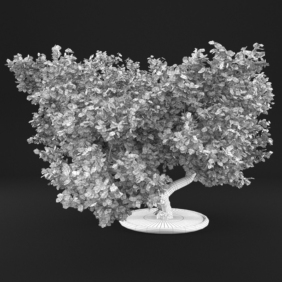 3D apple tree https://p.turbosquid.com/ts-thumb/fE/AvhsX7/Q39WR6G7/20000006/png/1495360157/1920x1080/fit_q87/85e27ade04ed7776b4d7be6e0d47312ad5202afa/20000006.jpg