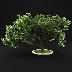 3D apple tree