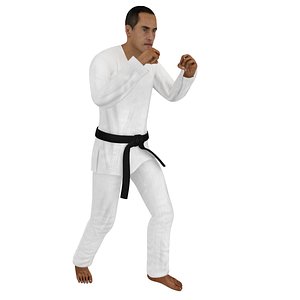 3D rigged karate
