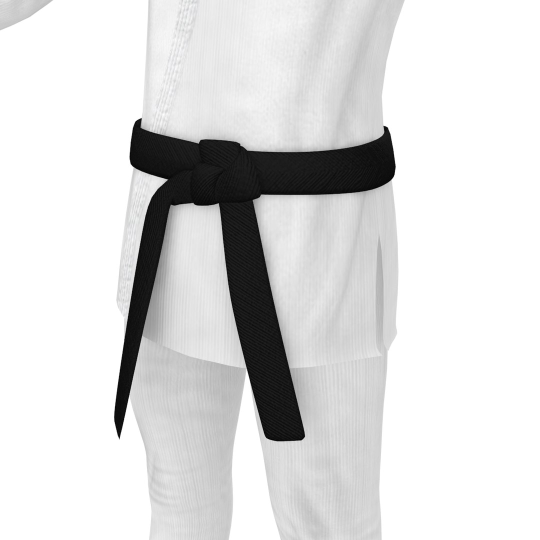 3D Rigged Karate - TurboSquid 1361130