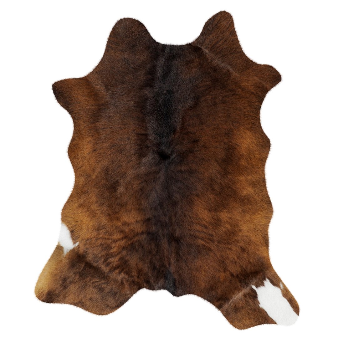 3D Animal Skin Rug 14 - TurboSquid 1786610