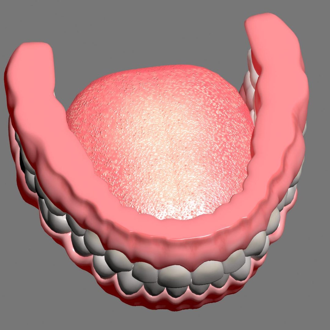3D mouth gums teeth https://p.turbosquid.com/ts-thumb/fE/REK3Tb/KK0Iqwpx/image_03/jpg/1507022613/1920x1080/fit_q87/919719bbdd0659e279f6acfb236f8d55722fa76e/image_03.jpg