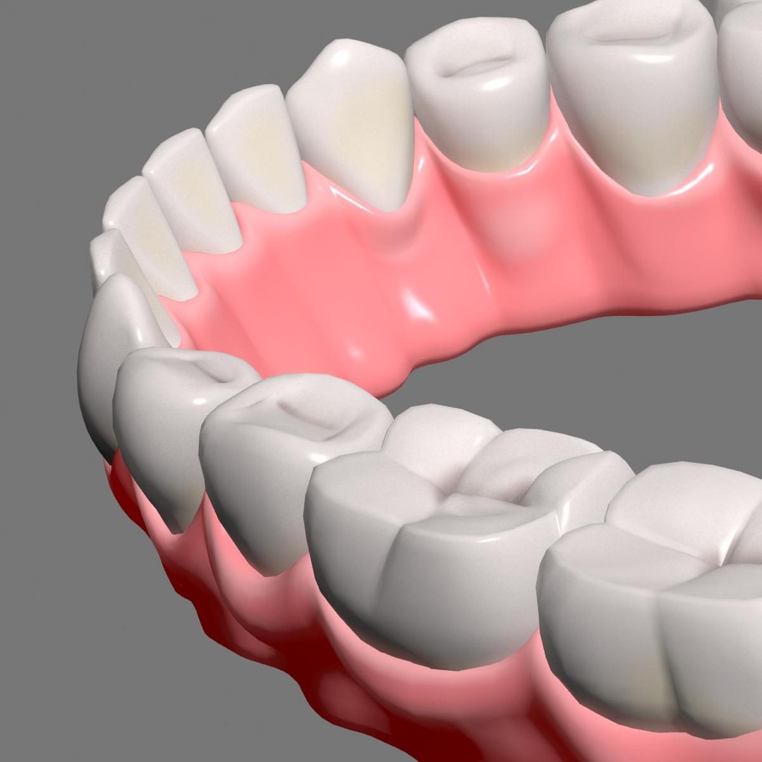 3D mouth gums teeth https://p.turbosquid.com/ts-thumb/fE/REK3Tb/hLnTHnr7/image_06/jpg/1507022613/1920x1080/fit_q87/c6ed3fa544fa31e6b344e09afc2ebd4ee05f9cc2/image_06.jpg