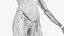 3D Complete Male and Female Anatomy Rigged Maaya Collection model
