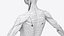 3D Complete Male and Female Anatomy Rigged Maaya Collection model