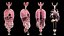 3D Complete Male and Female Anatomy Rigged Maaya Collection model