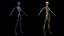 3D Complete Male and Female Anatomy Rigged Maaya Collection model