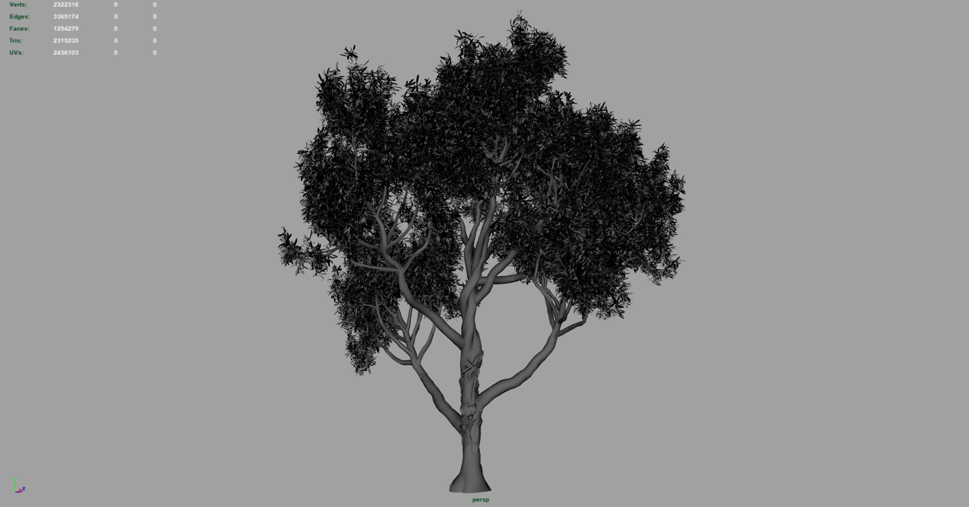 American Chestnut Tree 001 3D - TurboSquid 1655024