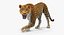 leopard rigged fur 3D model
