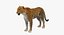 leopard rigged fur 3D model