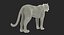 leopard rigged fur 3D model