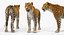 leopard rigged fur 3D model