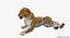 leopard rigged fur 3D model