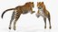leopard rigged fur 3D model