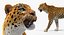 leopard rigged fur 3D model