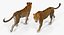 leopard rigged fur 3D model