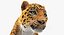 leopard rigged fur 3D model