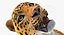 leopard rigged fur 3D model