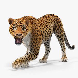 leopard rigged fur 3D model