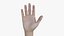 SHR-004 Rigged right hand 3D model