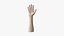 SHR-004 Rigged right hand 3D model