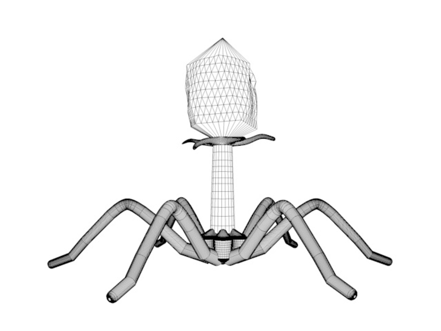 3d Phage Bacteriophage Virus