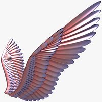 Wings