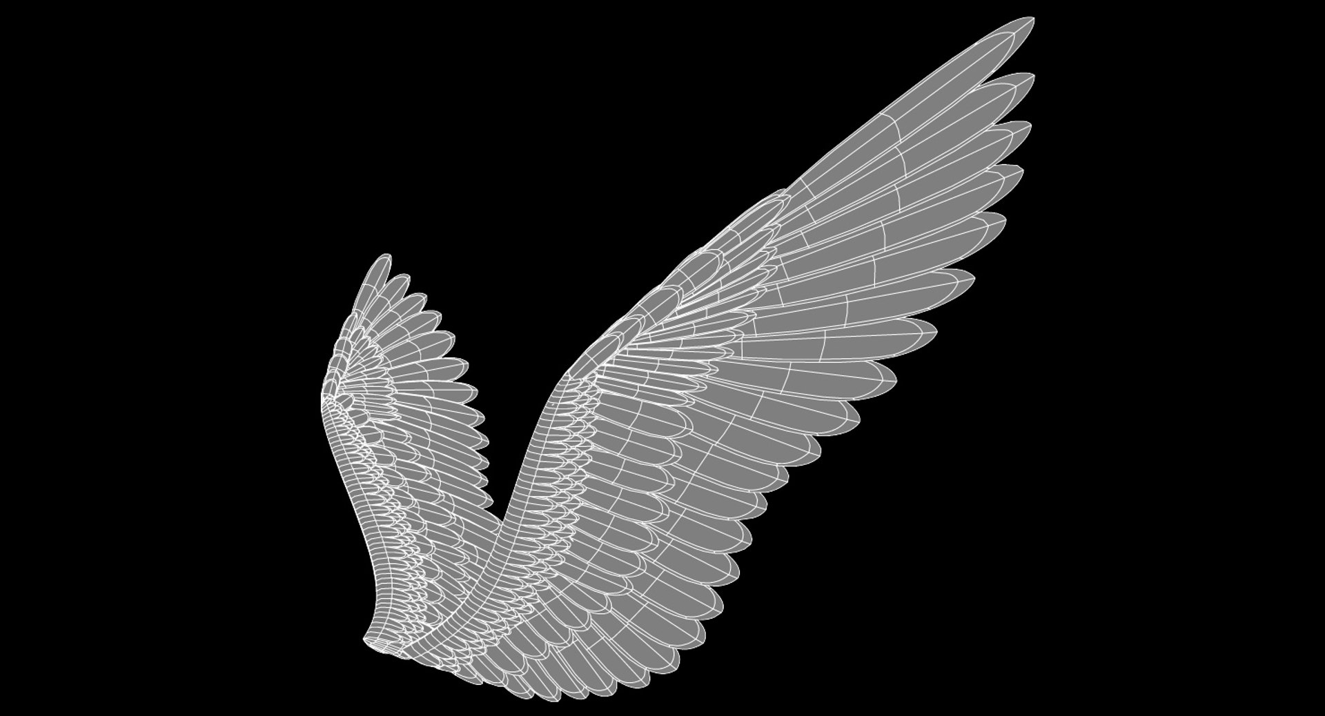 wings 3d 3ds https://p.turbosquid.com/ts-thumb/fF/6RC4bz/DhqVCdag/wings_wire2_render.37/jpg/1541776524/1920x1080/fit_q87/e69d981b2ab679d1821c57d903c67ccd7c0b73f8/wings_wire2_render.37.jpg